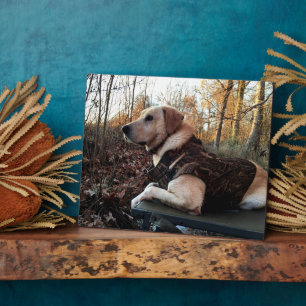 Plaque Photo Labrador Retriever Chasseur de canard L'arme ultim