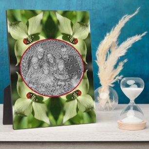 Plaque Photo Ladybug On Dogwood Flower Ajouter Votre Photo