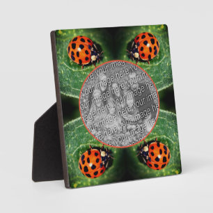 Plaque Photo Ladybug Sur La Feuille Créez Votre Propre Photo