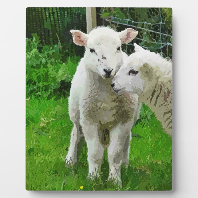 PLAQUE PHOTO LAMPES DE PRINTEMPS (Devant)