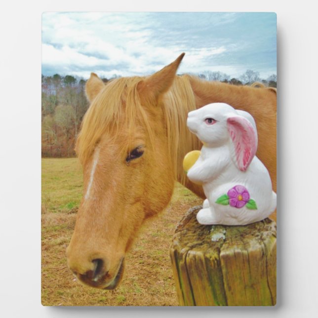 Plaque Photo Lapin blanc et cheval jaune blond (Devant)