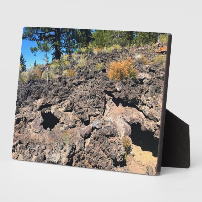 Plaque Photo Lava Cast Forest, OR (Côté)