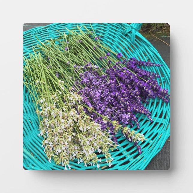 Plaque Photo Lavender (Devant)