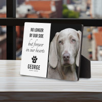 Le Chien Loyal N'Est Plus De Notre Côté | Garde ph