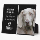 Le Chien Loyal N'Est Plus De Notre Côté | Garde ph