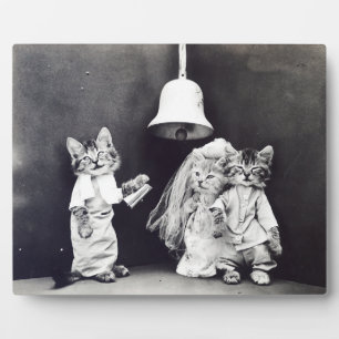 Plaque Photo Le Mariage Harry Whittier libère 1914