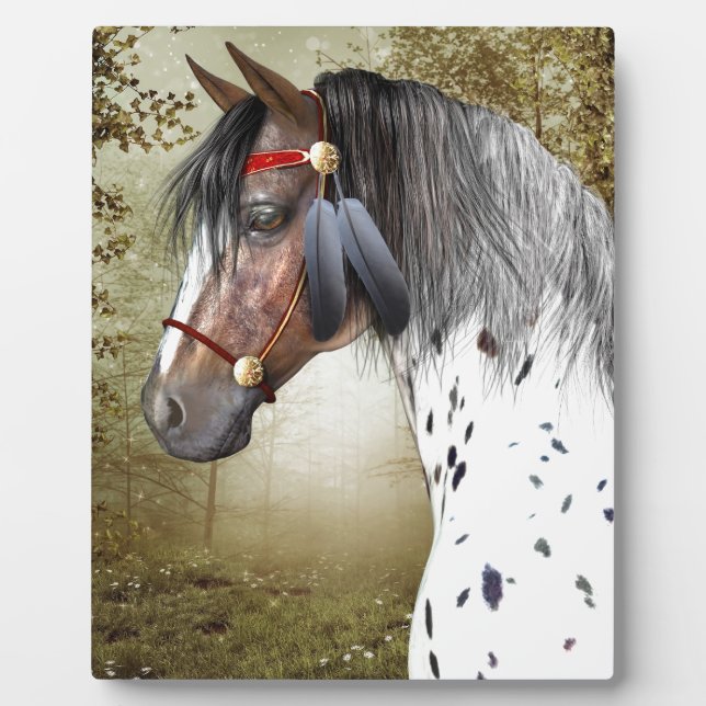 Plaque Photo Le ponton indien (Devant)