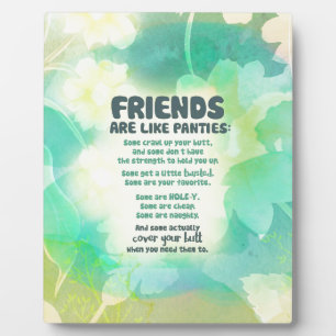Plaque Photo Les amis sont comme des culottes