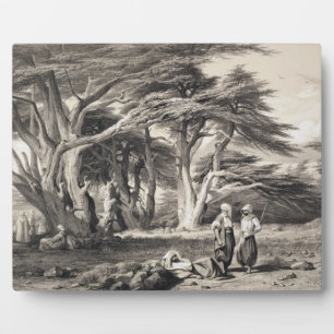 Plaque Photo Les Cèdres du Liban, gravés par Freeman (sépia