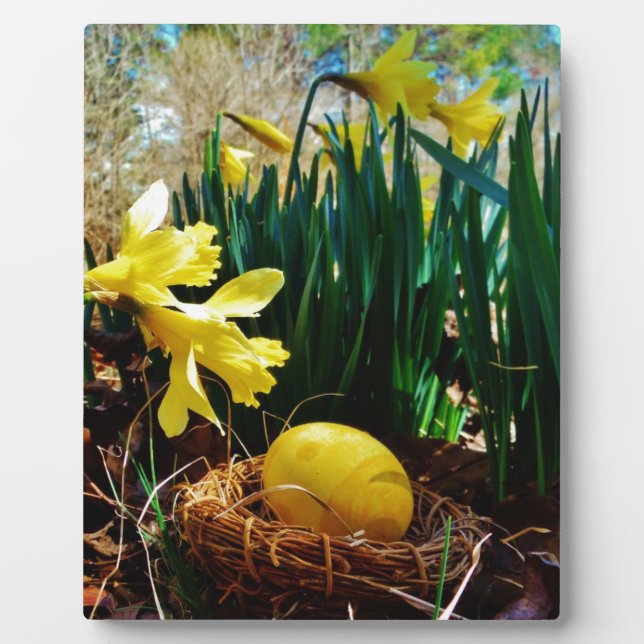 Plaque Photo Les jonquilles jaunes et un oeuf de Pâques jaune (Devant)