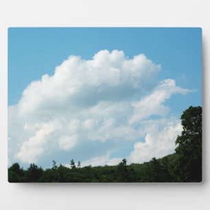 Plaque Photo Les nuages rencontrent les arbres