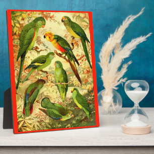 Plaque Photo Les perroquets