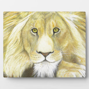 Plaque Photo Lion africain