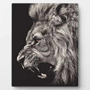 Plaque Photo Lion homme en colère