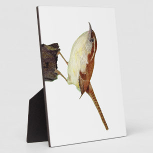 Plaque Photo Little Wren