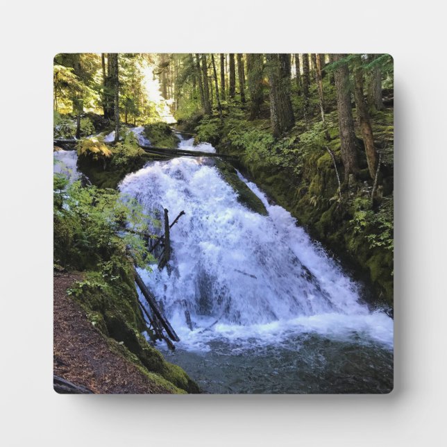 Plaque Photo Little Zigzag (Devant)