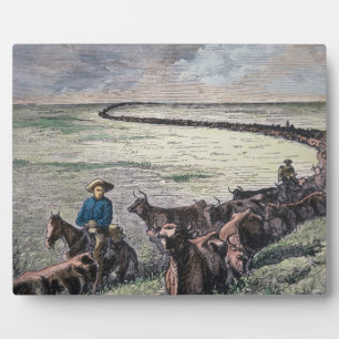 Plaque Photo Longhorn cattle drive from Texas to Abilene, Kansa