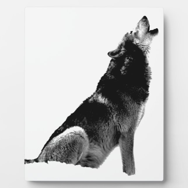 Plaque Photo Loup de Howling blanc noir (Devant)