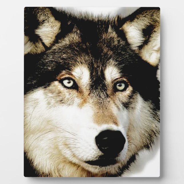 Plaque Photo Loup motivationnel unique (Devant)