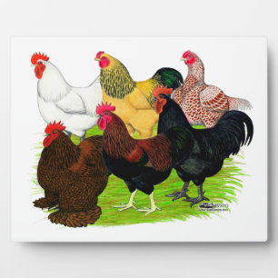 Plaque Photo Lourd ajout de coq