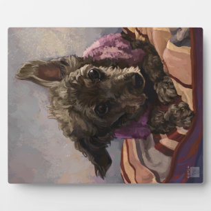 Plaque Photo Maîtriser le caniche