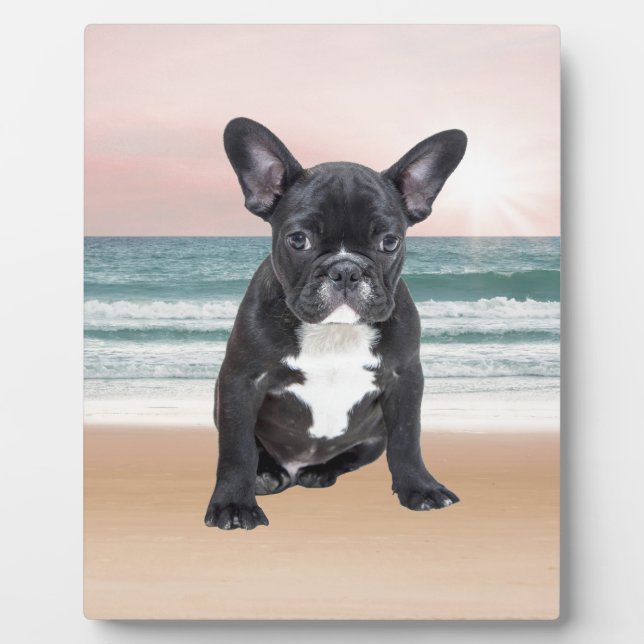 Plaque Photo Mare French Bulldog Beach Eau Soleil (Devant)