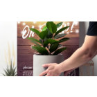 Mariage Snap Hashtag Bois rustique Mason Jar Lumiè