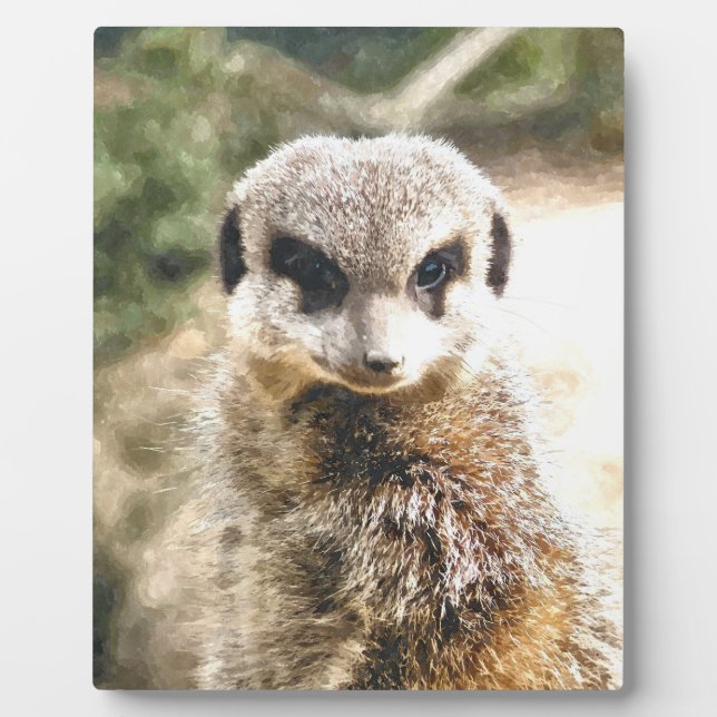 PLAQUE PHOTO MEERKAT (Devant)
