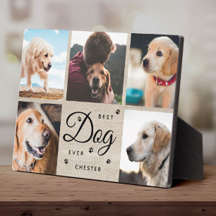Plaque Photo Meilleur chien ever Mémorial Moderne Collage photo