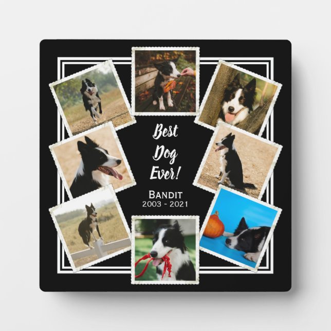 Plaque Photo Meilleur Chien Jamais Personnalisé Photo Pet Memor (Devant)
