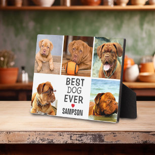Plaque Photo Meilleur chien moderne jamais collage photo   Anim