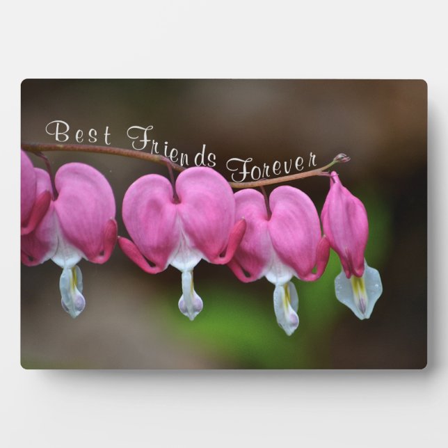 Plaque Photo Meilleurs amis pour toujours (Devant)