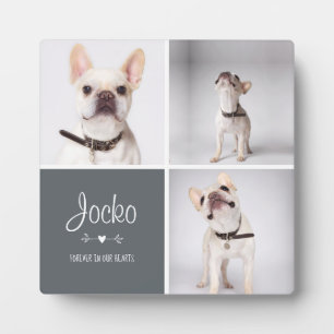 Plaque Photo Mémoire de chien Collage photo de souvenir d'anima