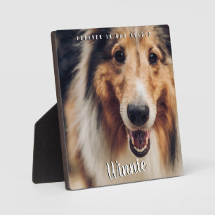 Plaque Photo Mémoire de Compagnie Photo pour Toujours dans Nos 