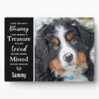 Mémoire de souvenir de photo de chien de compagnie