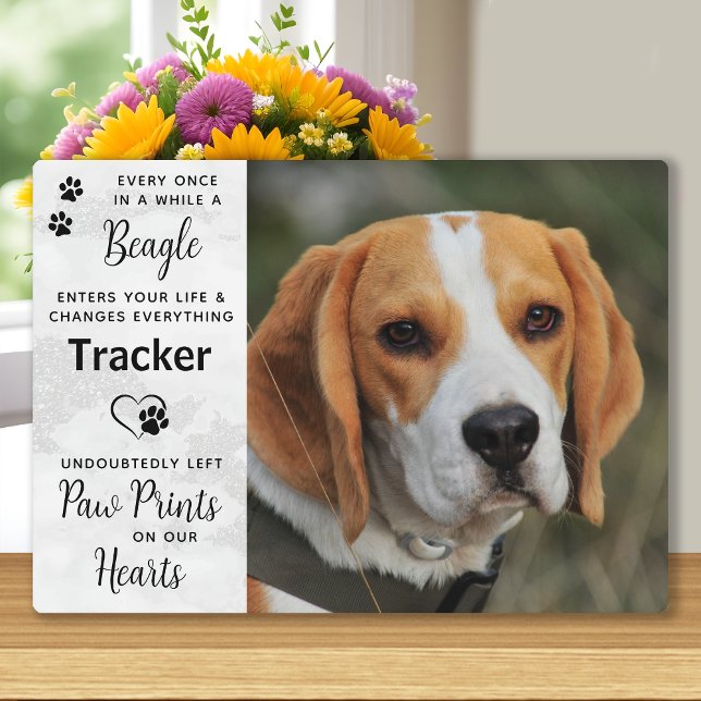 Plaque Photo Mémoire personnalisé de Beagle en photo (Créateur téléchargé)
