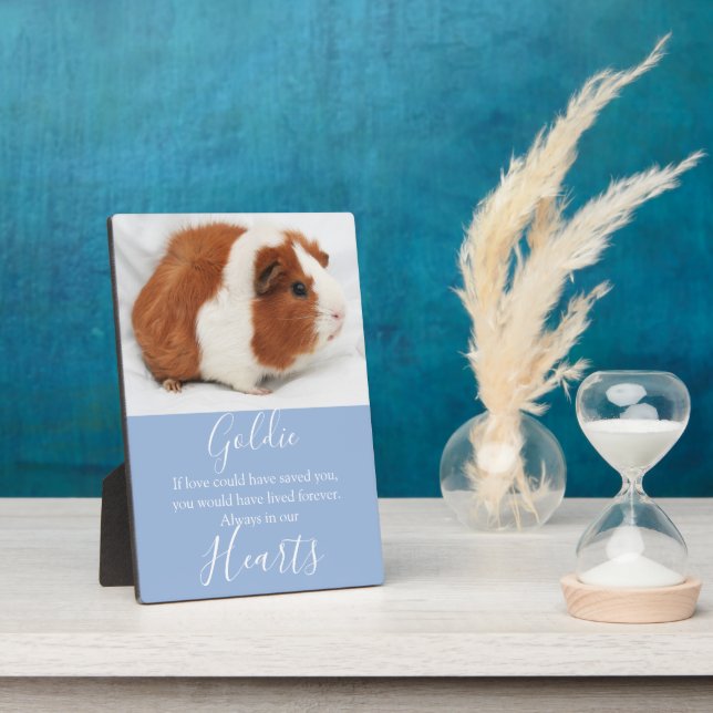 Plaque Photo Mémorial à l'animal (Côté)