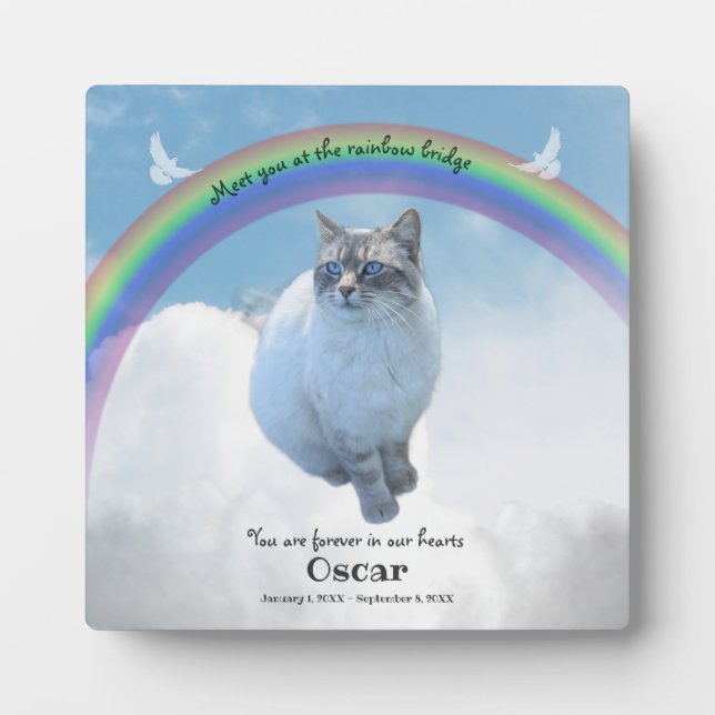 Plaque Photo Mémorial de compagnie Pont de l'Arc-en-Ciel (Devant)