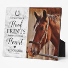 Mémorial du Cheval - Photo Sympathie pour animaux 