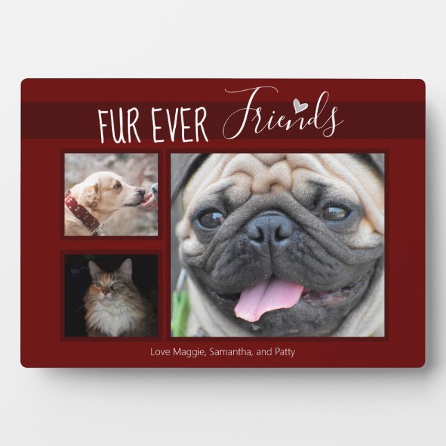 Plaque Photo Memorial Pet Remebrance Forever Friends Photos (Devant)
