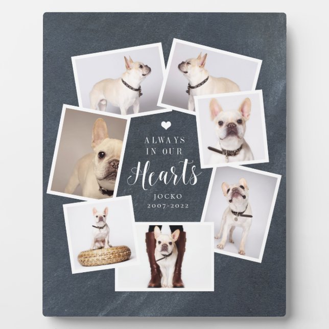 Plaque Photo Mémorial pour animal de compagnie Collage multi-ph (Devant)