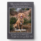 Mémorial pour l'animal de compagnie - Quand demain