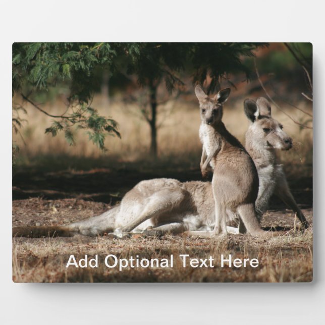 Plaque Photo Mère Kangaroo et Joey Relaxant (Devant)