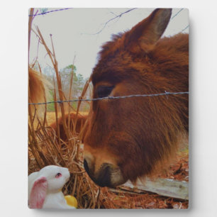 Plaque Photo Miniature cheval Brown et lapin de Pâques