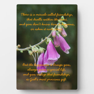 Plaque Photo Miracle of Friendship