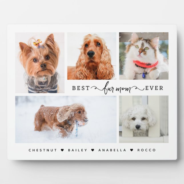 Plaque Photo Modern Cat & Dog Mom Gift Best Fur Mom Ever Photo (Devant)
