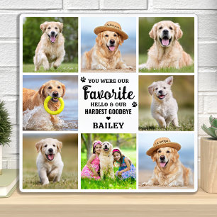 Plaque Photo Moderne 8 Photo Collage Animaux de compagnie Chien