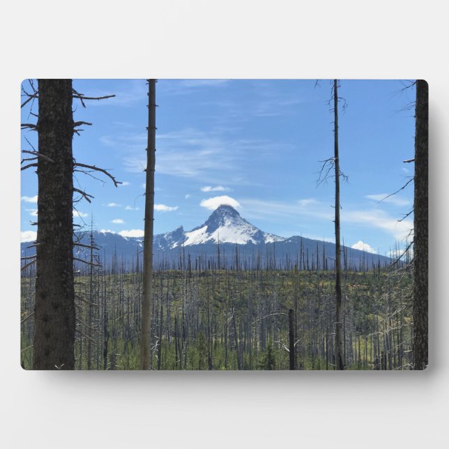 Plaque Photo Mont Washington, OR (Devant)