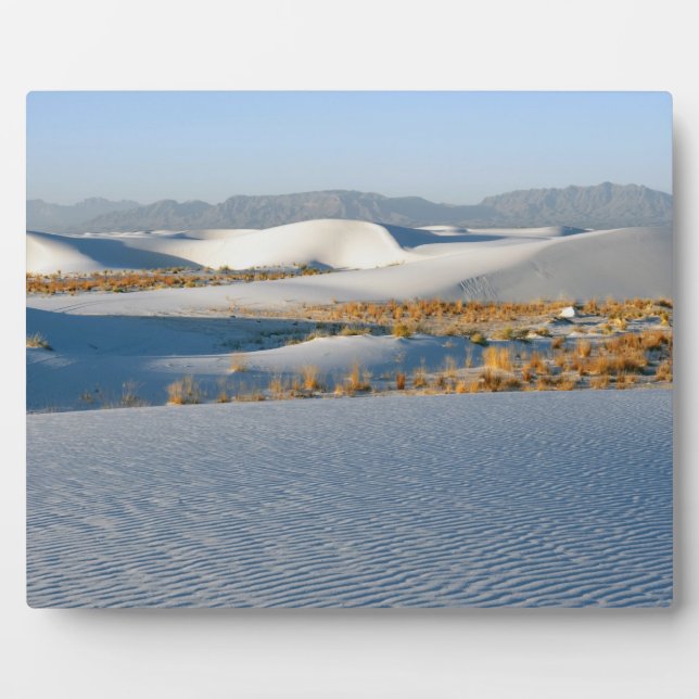 Plaque Photo Monument national de White Sands (Devant)