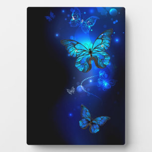 Plaque Photo Morpho Butterfly in the Dark Background